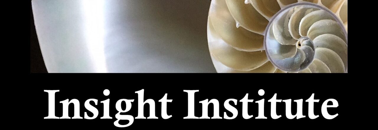 Insight Institute LLC